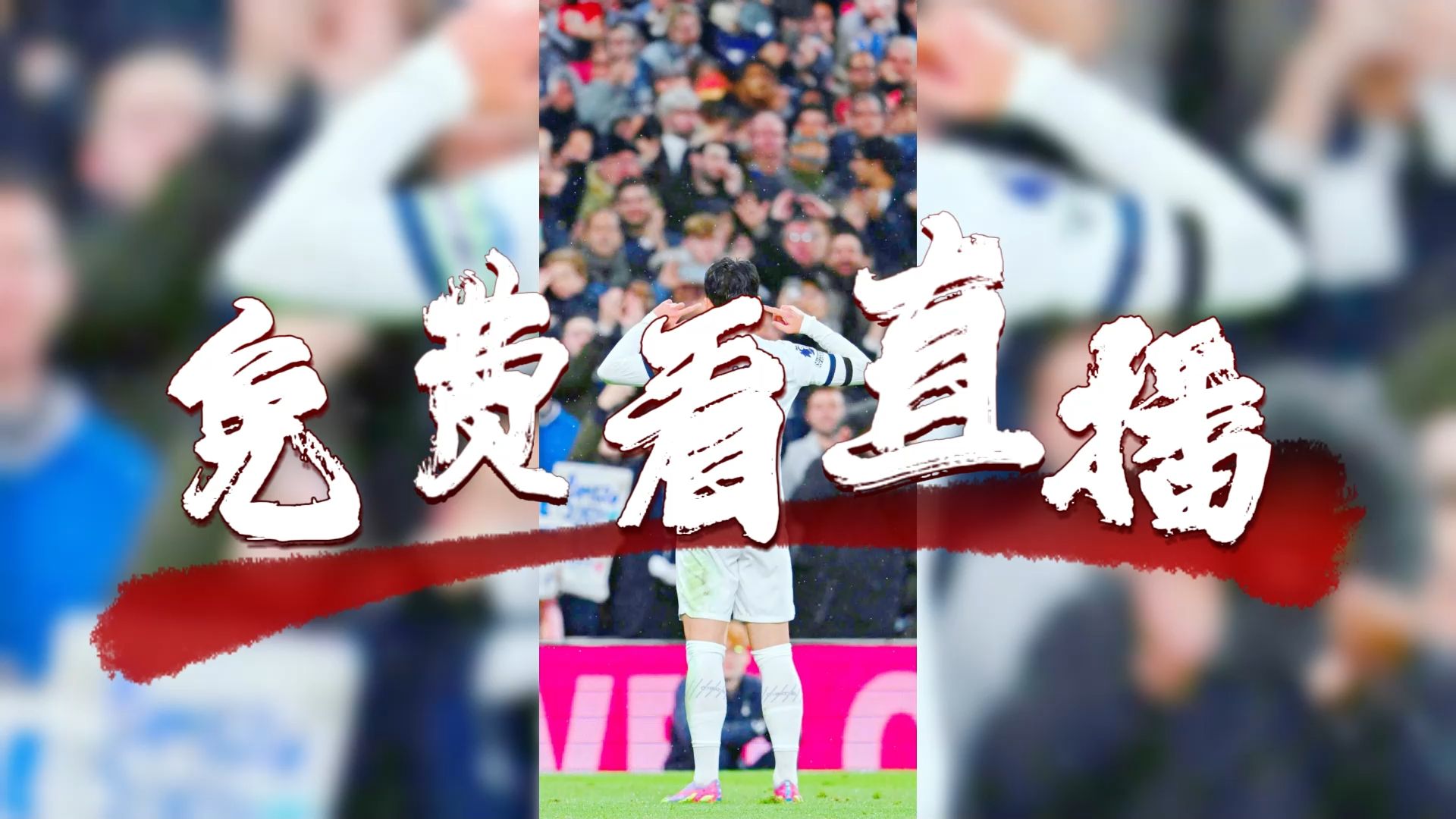 B体育活动-球员出色表现引发球迷狂热热议，国际赛事瞩目的简单介绍