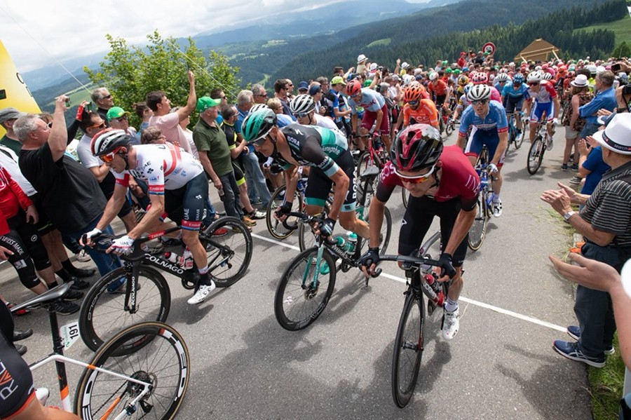 瑞士代表队在不同项目中斩获成功的简单介绍 瑞士代表队在不同项目中斩获成功的简单介绍