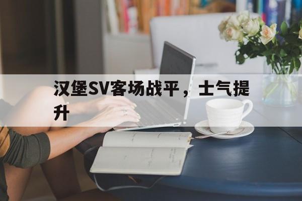 B体育登录入口-汉堡SV客场战平，士气提升的简单介绍