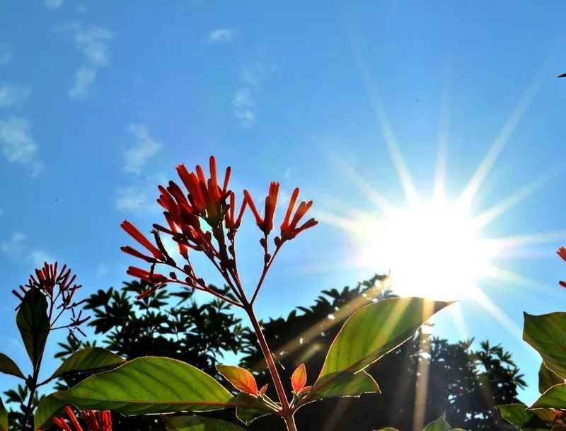 B体育注册-关于广州富力凭一己之力逆袭，赢得关键胜利的信息